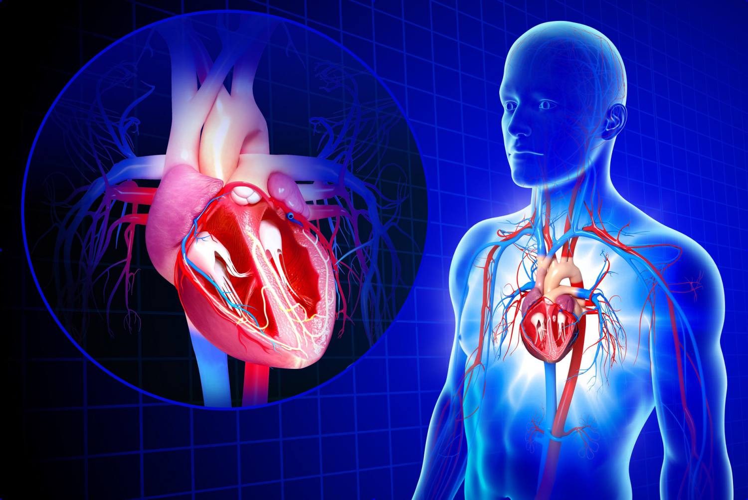 cardiovascular-disease-dataset-ieee-dataport